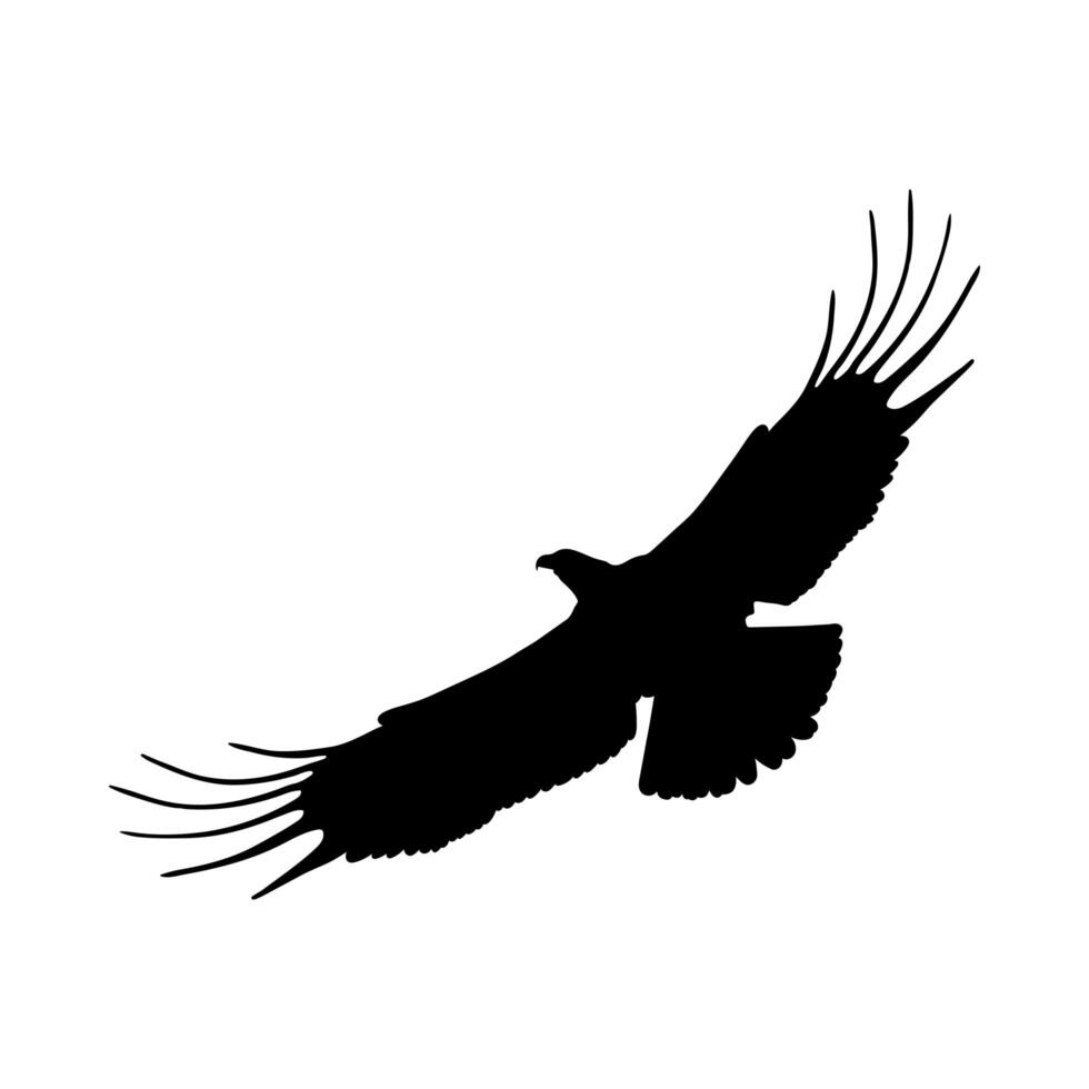 black eagle silhouette vector