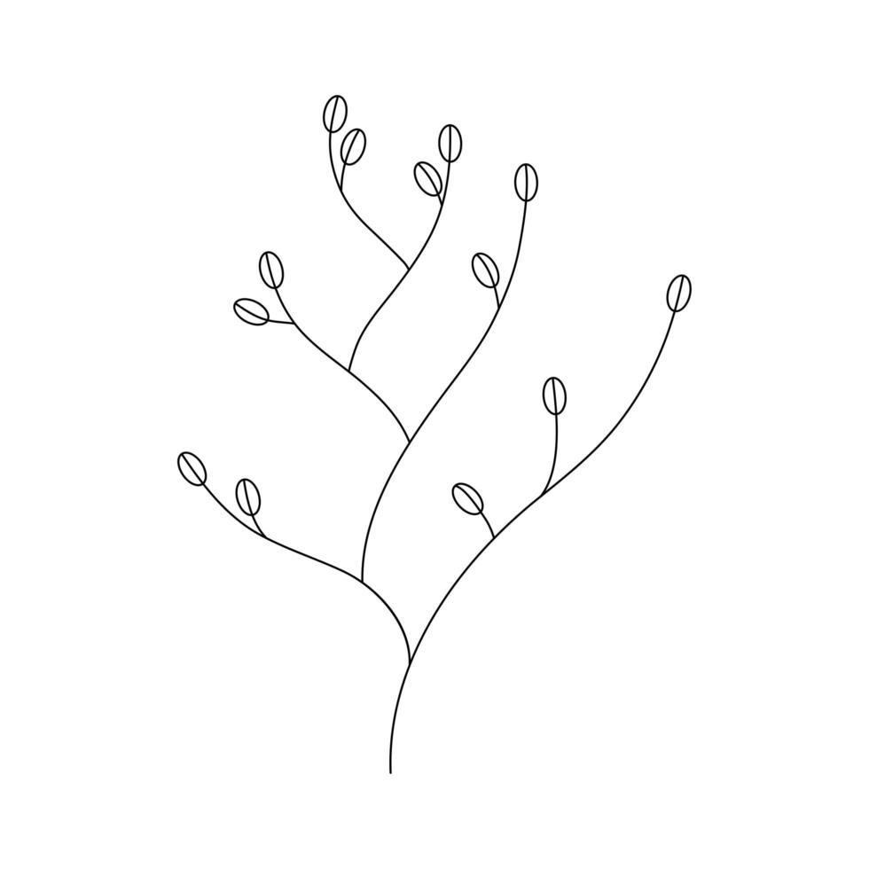 laurel branch with seeds vector