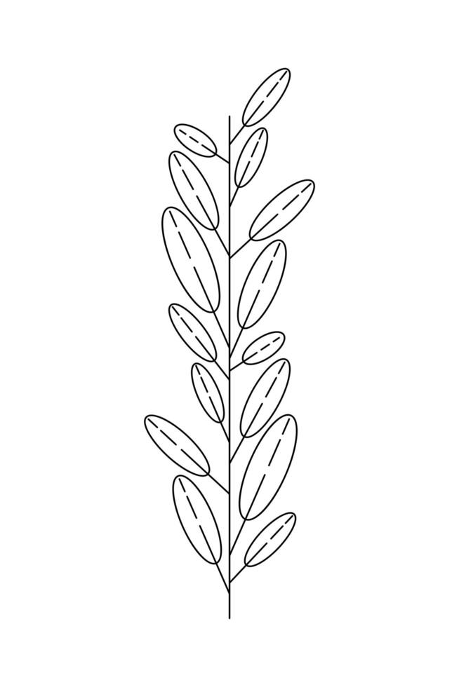 branch with leafs vector
