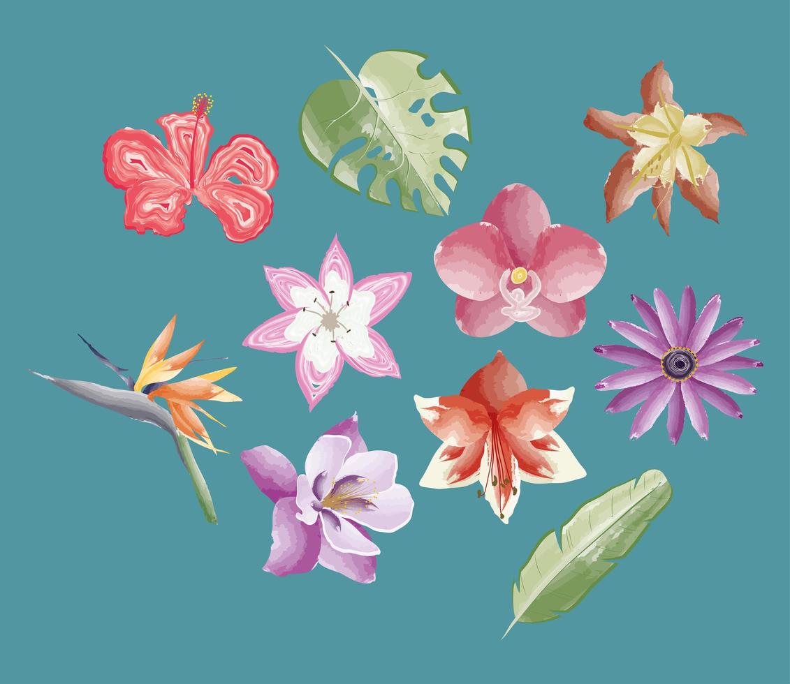 diez iconos de plantas exóticas vector