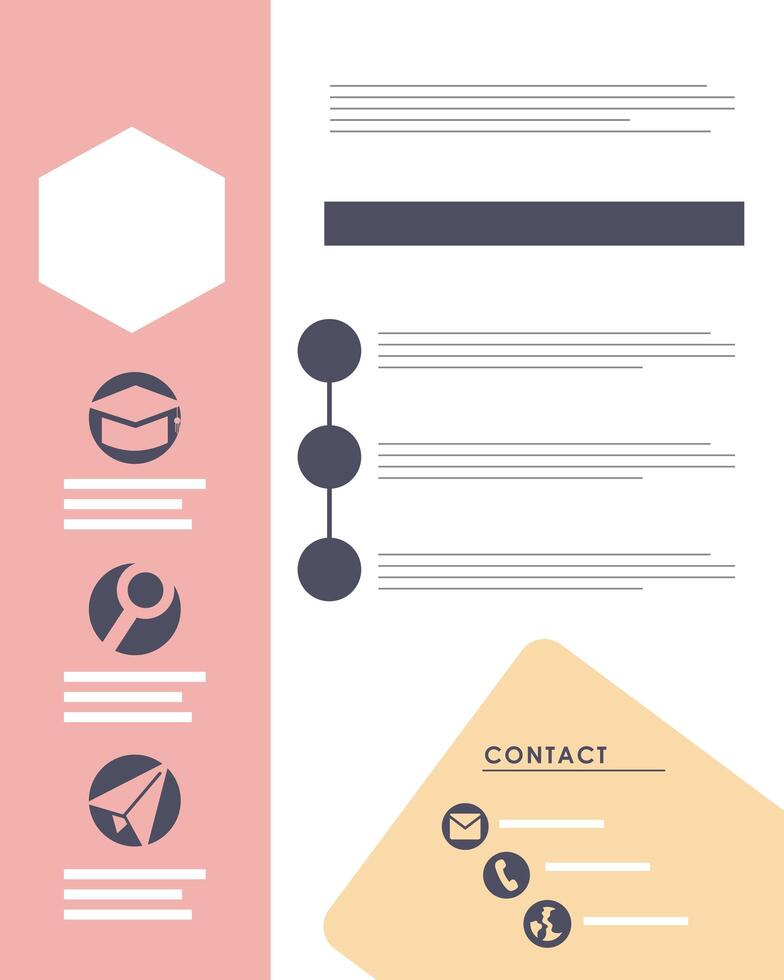 curriculum vitae plantilla rosa vector