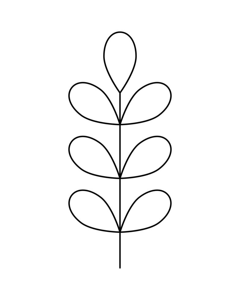 laurel branch with leaves vector