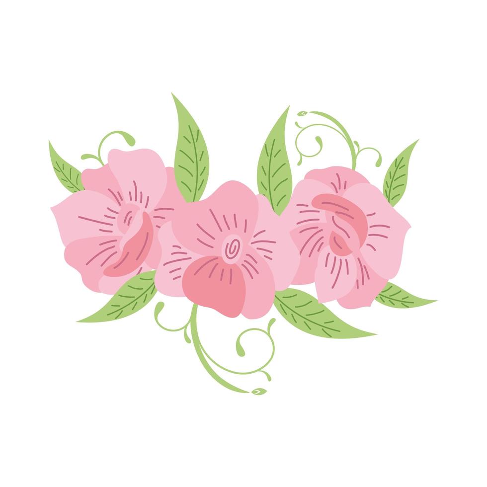 pink roses and leaves vector