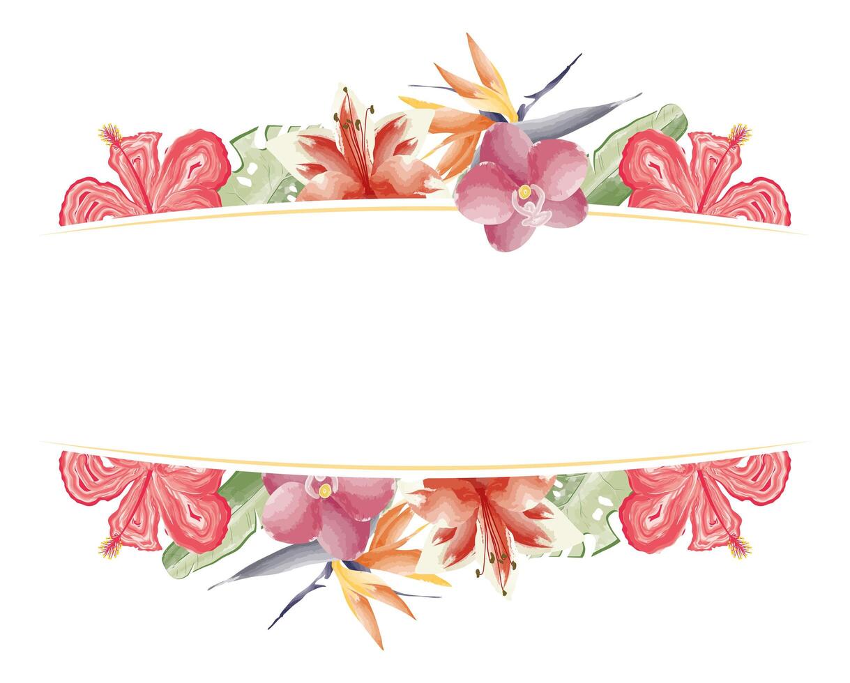 beautiful exotic flowers decoration vector