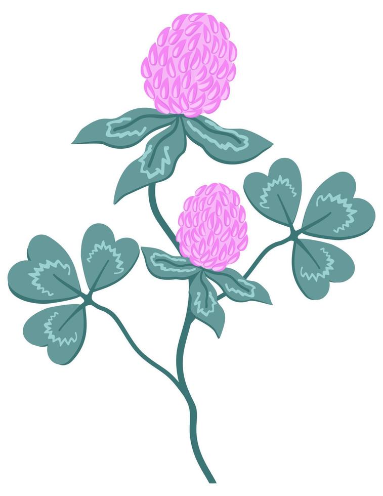 Vector isolated illustration of red clover on a stem with leaves.