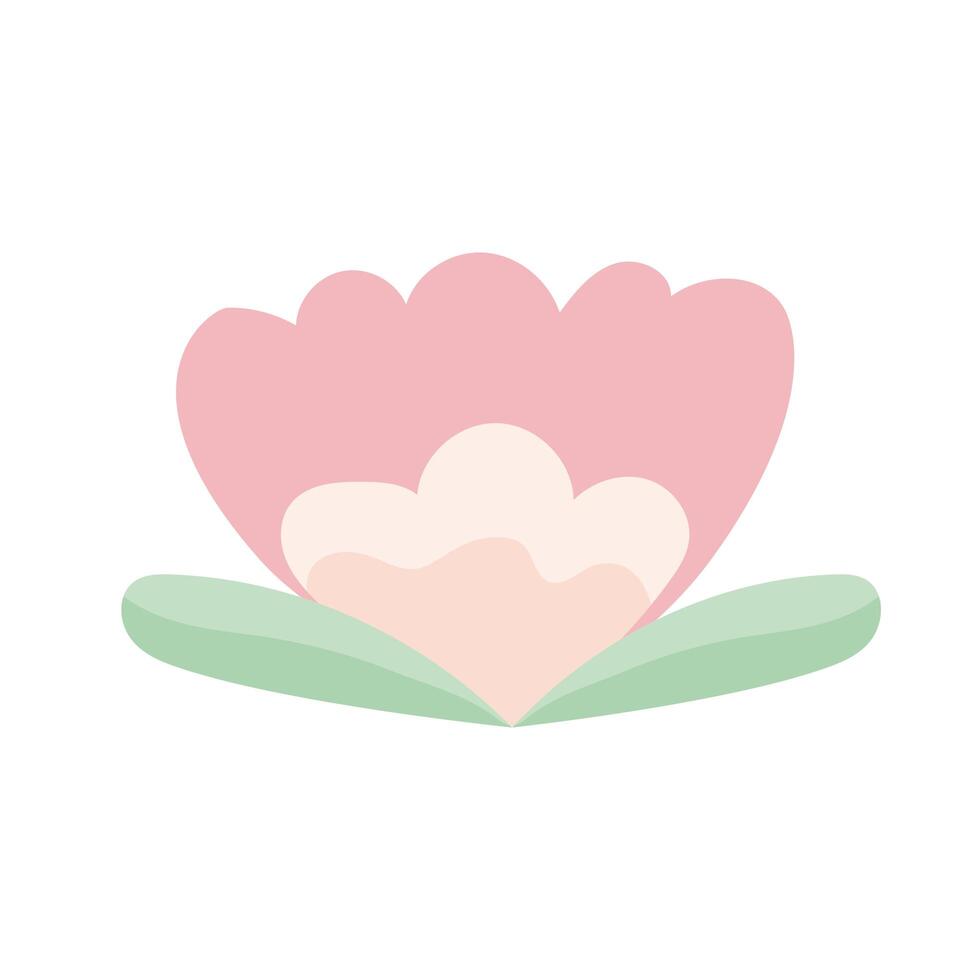 beauty pink flower vector