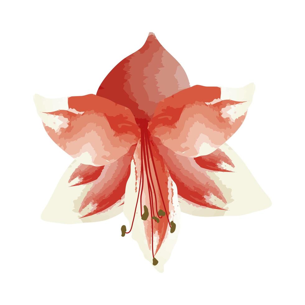 exotic tropical flower vector