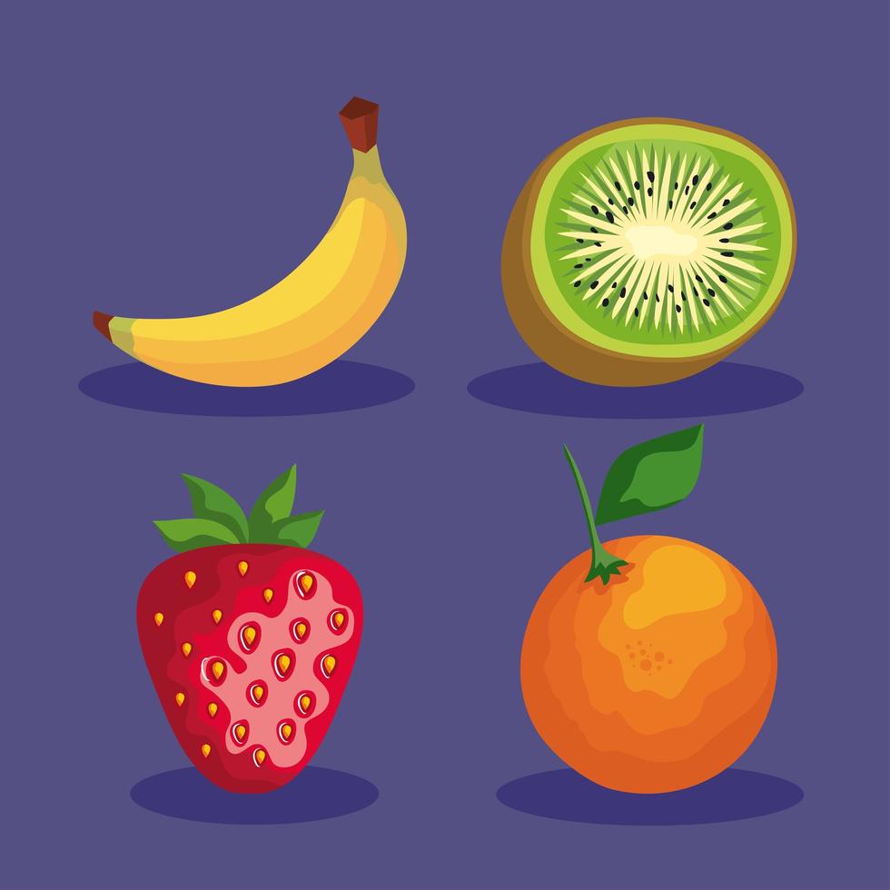 four fresh fruits vector