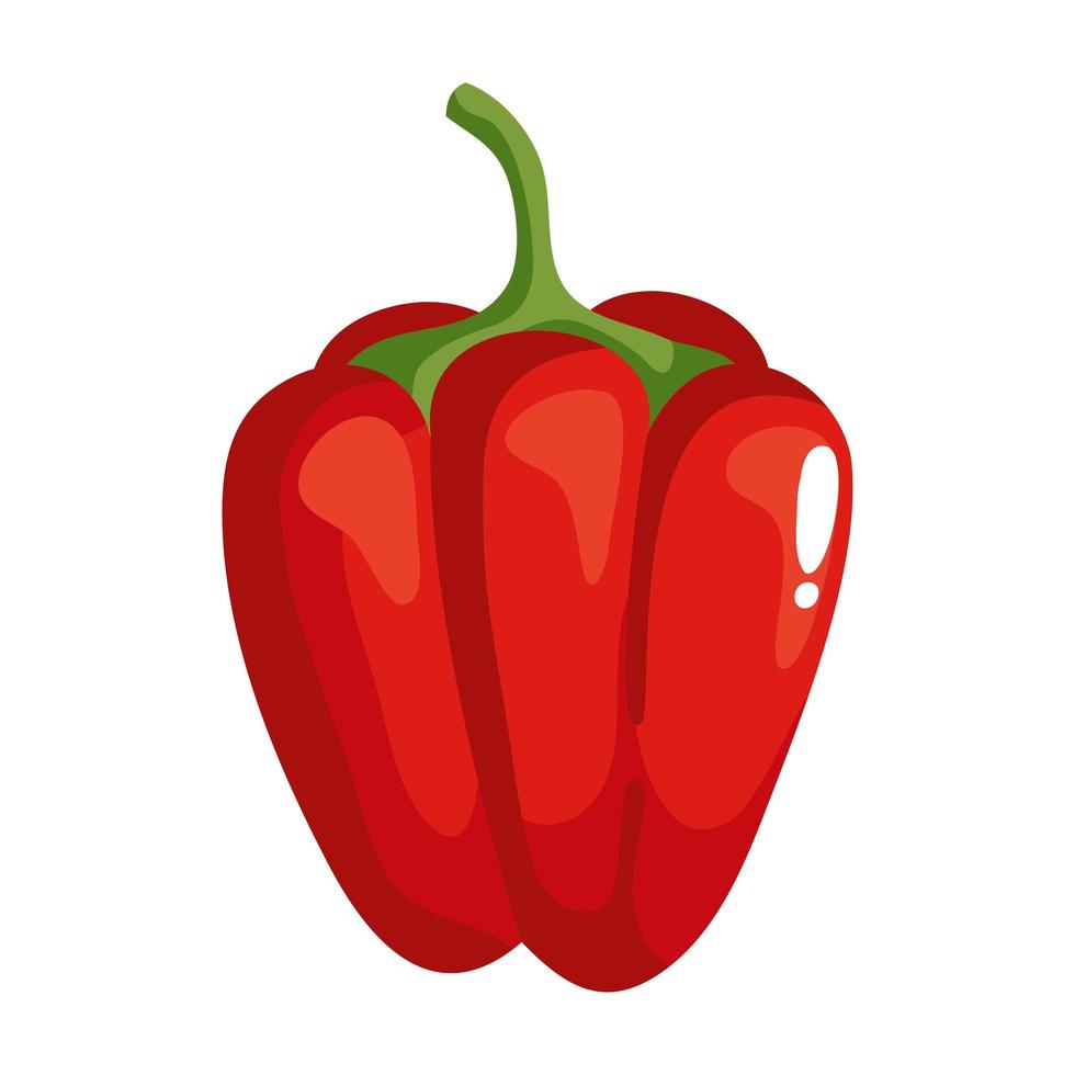 fresh pepper vegetable vector