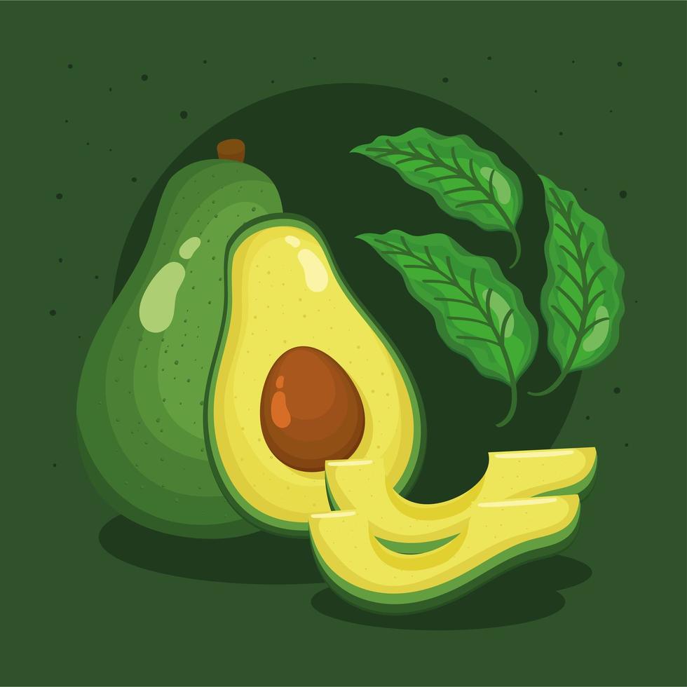 fresh avocados and leafs vector