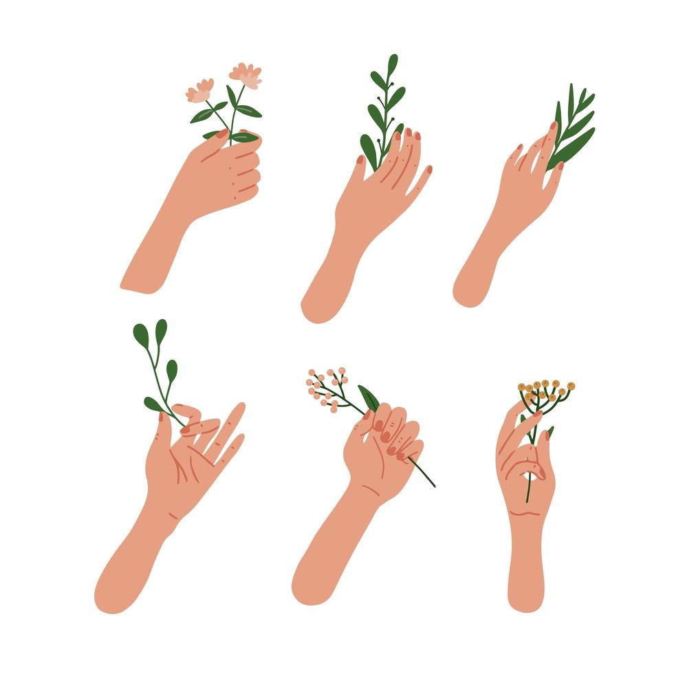 elegantes manos femeninas sosteniendo flores y hojas en las ramas. colección de manos de mujeres individuales con varias plantas. un concepto hermoso y naturalista. ilustración vectorial plana. vector