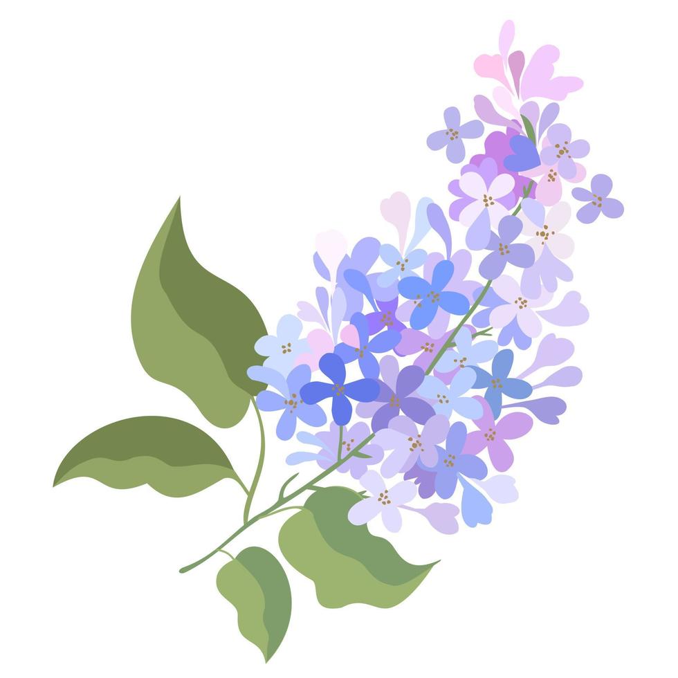 Vector isolated illustration of lilac branch.