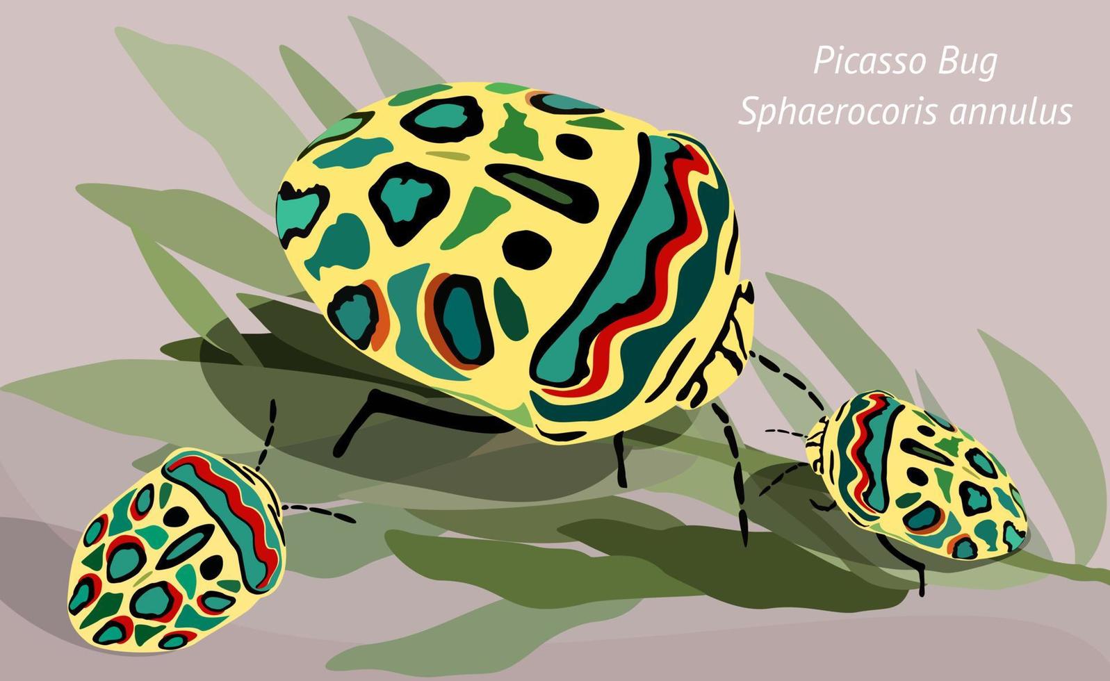 Picasso bugs. Vector illustration on background.