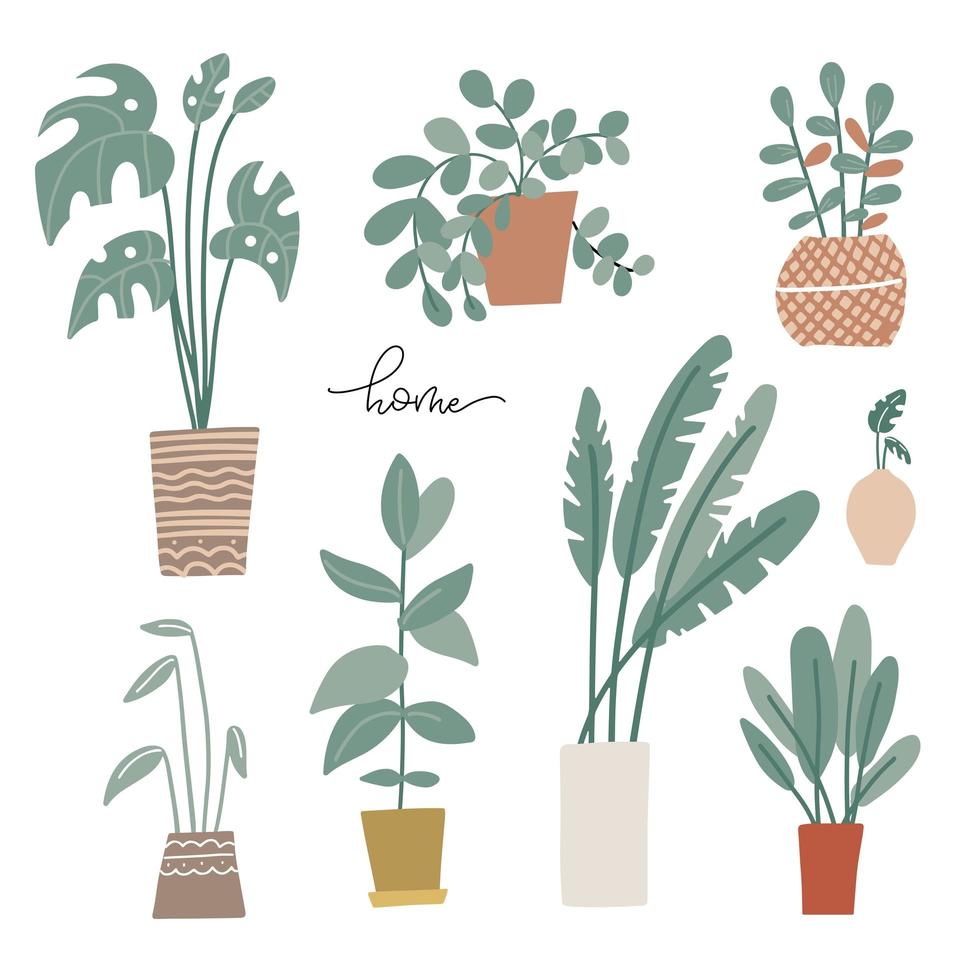 Potted plants set in Scandinavian style. Palms and house plants. Hand drawn vector illustration. Set of house indoor plant