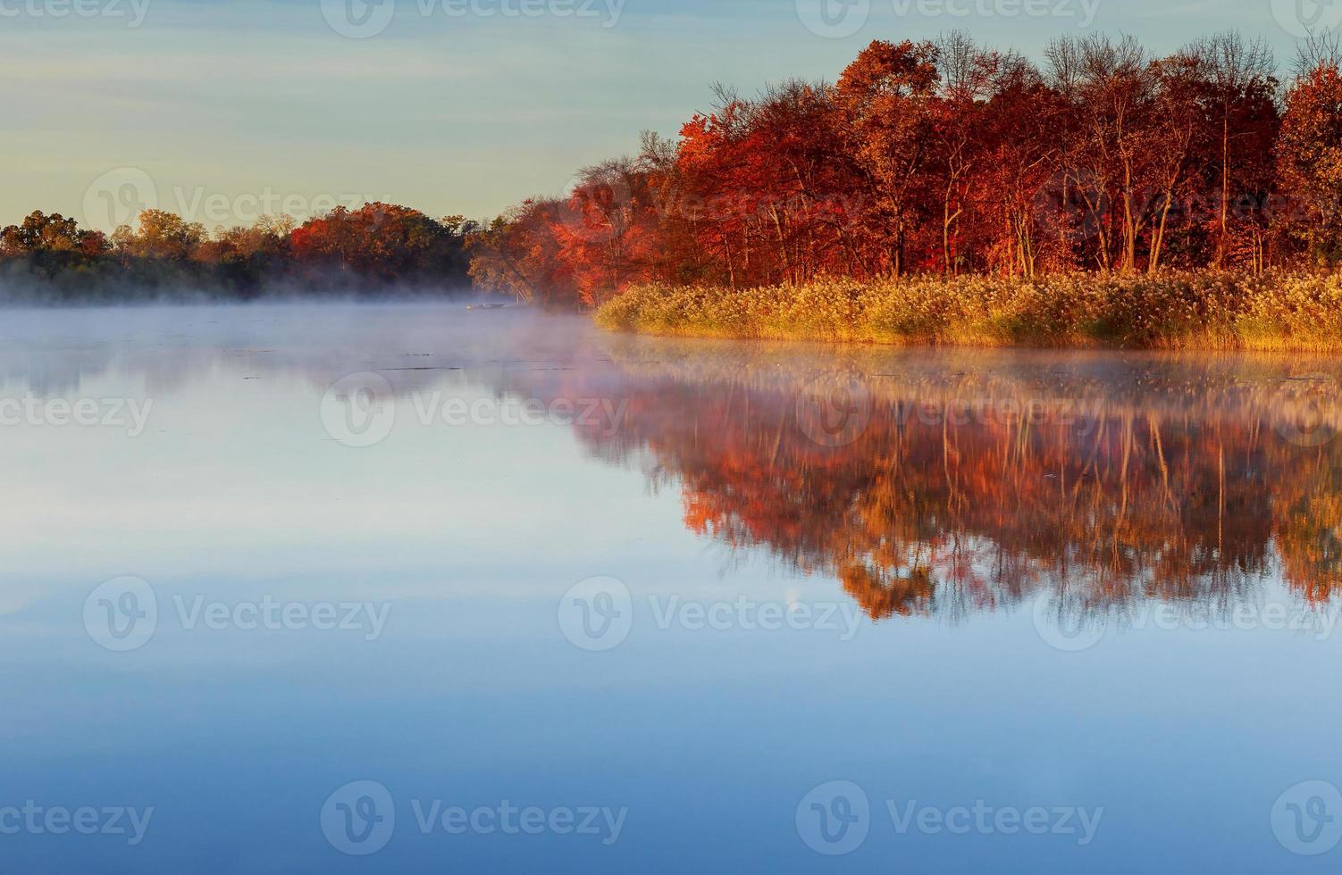 Fantastic foggy river with fresh green grass in the sunlight. photo
