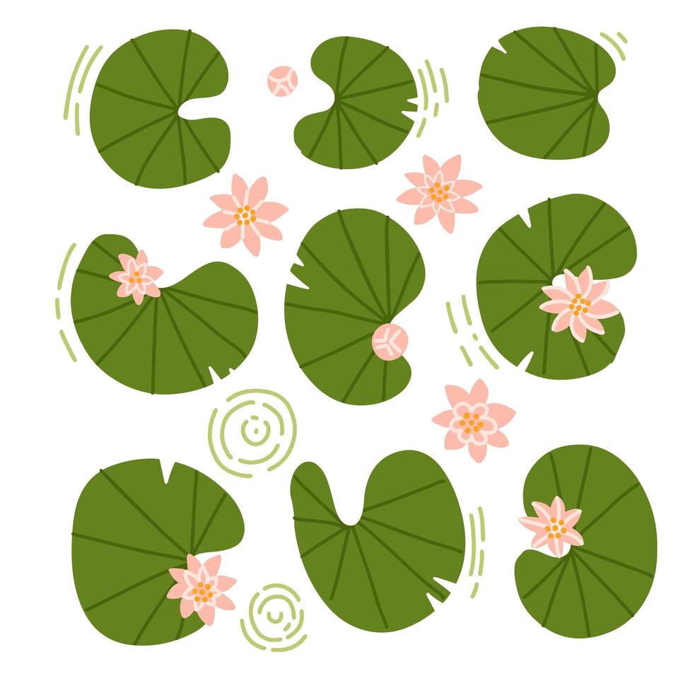 Japanese or Chinese flowers and lilypads set. Collection of rose water lotus and leaves top view. Up view composition. Vector flat hand drawn illustration.