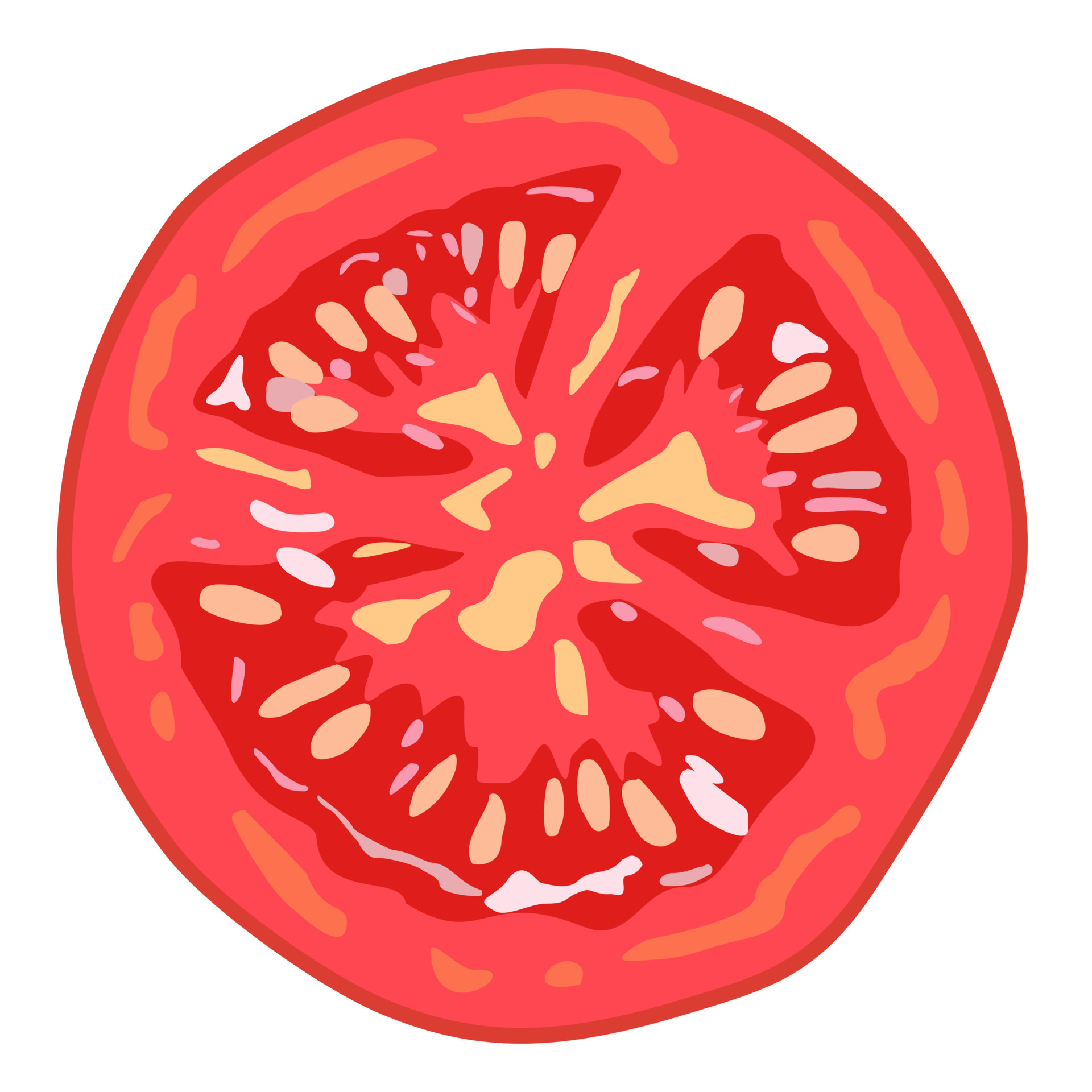 Tomato Slice Illustration