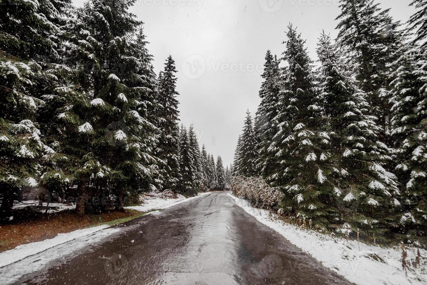 scenic view of the road with snow and mountain and giant trees background in winter season. Morske Oko photo