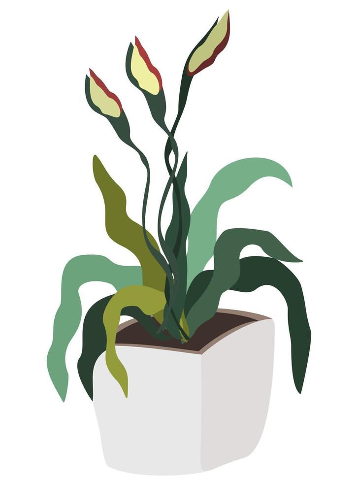 Flower in a pot. vector
