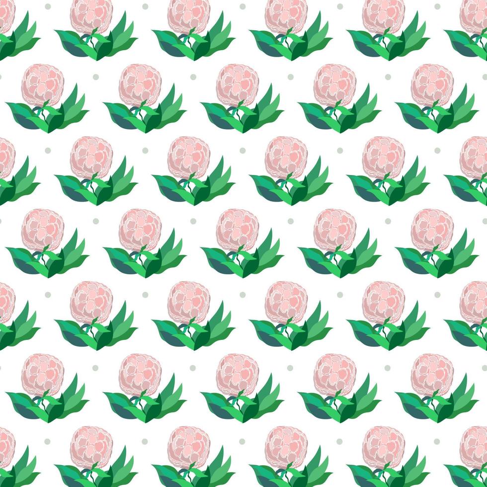 Pattern with pink hortensia flowers. vector