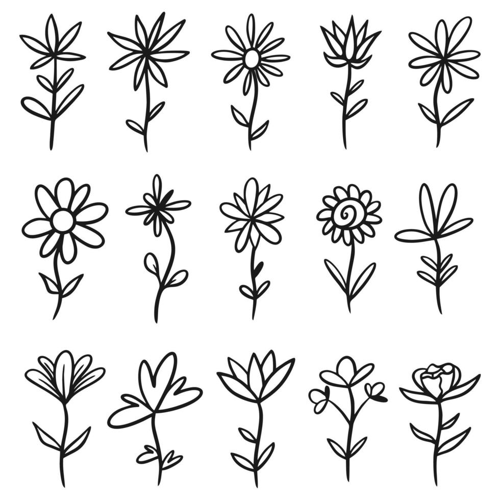 Set of sketches and line doodles hand drawn design floral elements vector