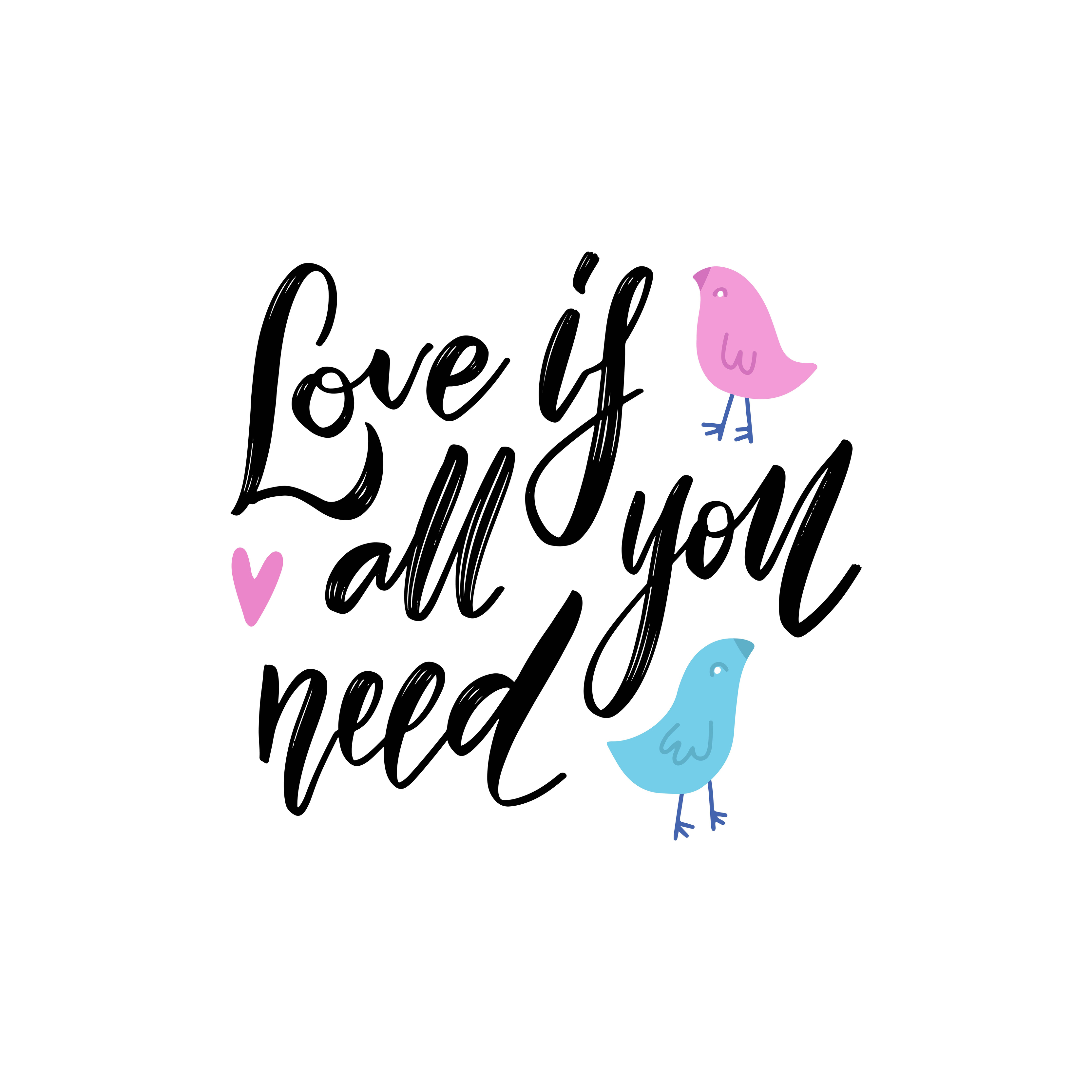 https://static.vecteezy.com/system/resources/previews/006/045/212/original/all-you-need-is-love-phrase-hand-drawn-lettering-modern-brush-calligraphy-with-couple-of-birds-characters-hand-drawing-card-or-poster-ink-illustration-for-valentines-day-and-wedding-vector.jpg