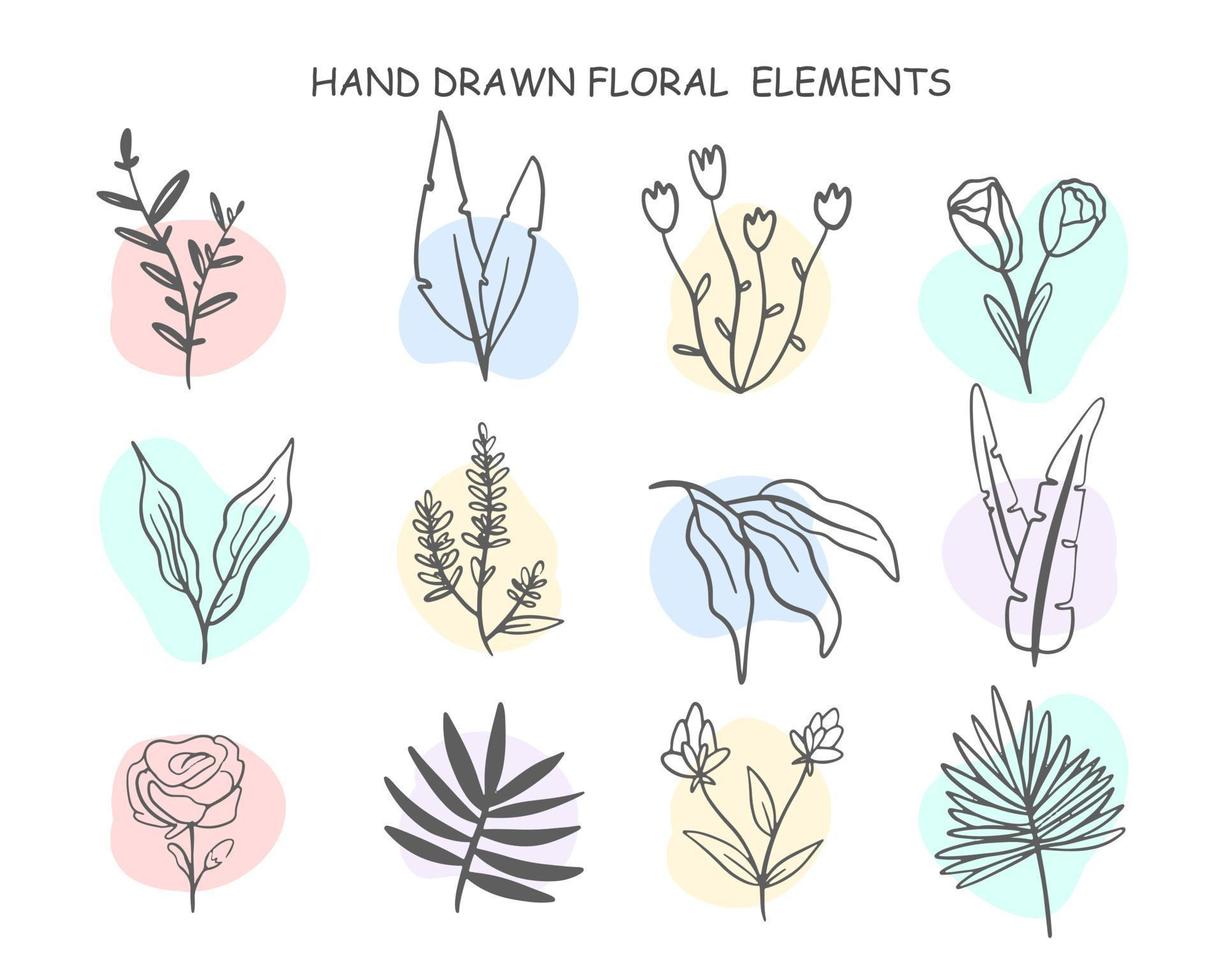 Single line flowers set. Trendy spring collection of wildflowers. Vector illustration of Floral branches and rainbow stains.