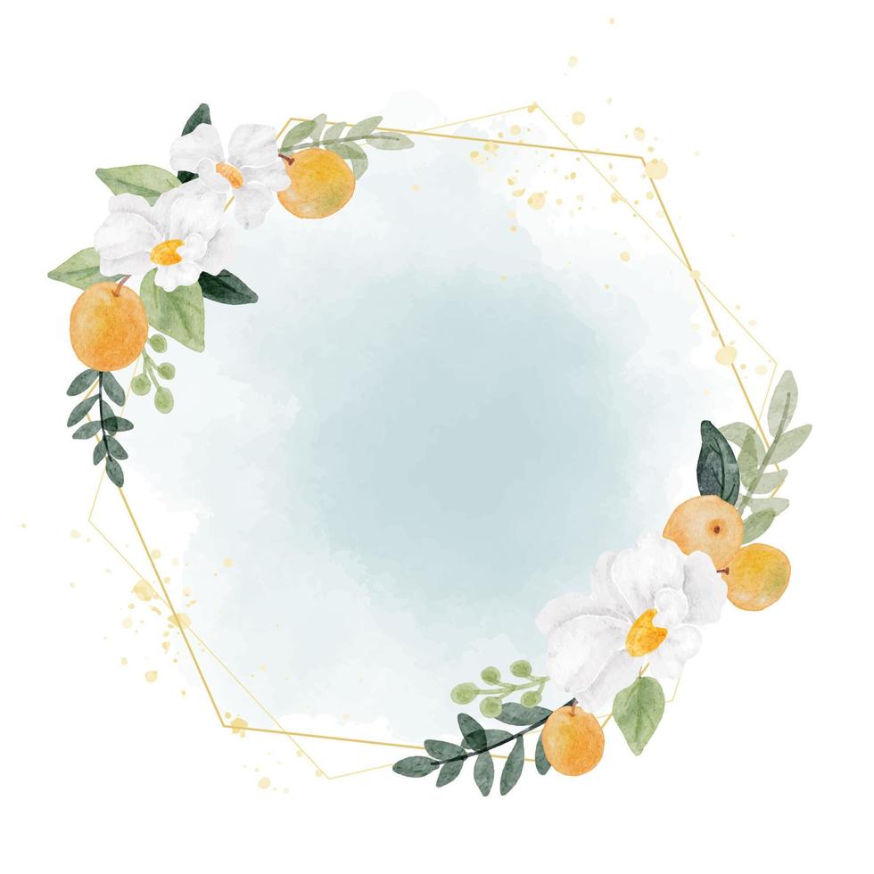 watercolor white flower and orange fruit wreath with golden geometry frame on splash background vector