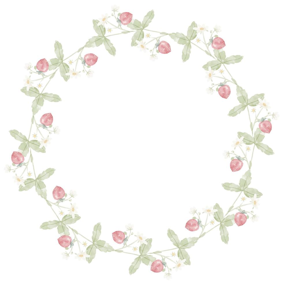 watercolor hand drawn wild strawberry wreath frame vector