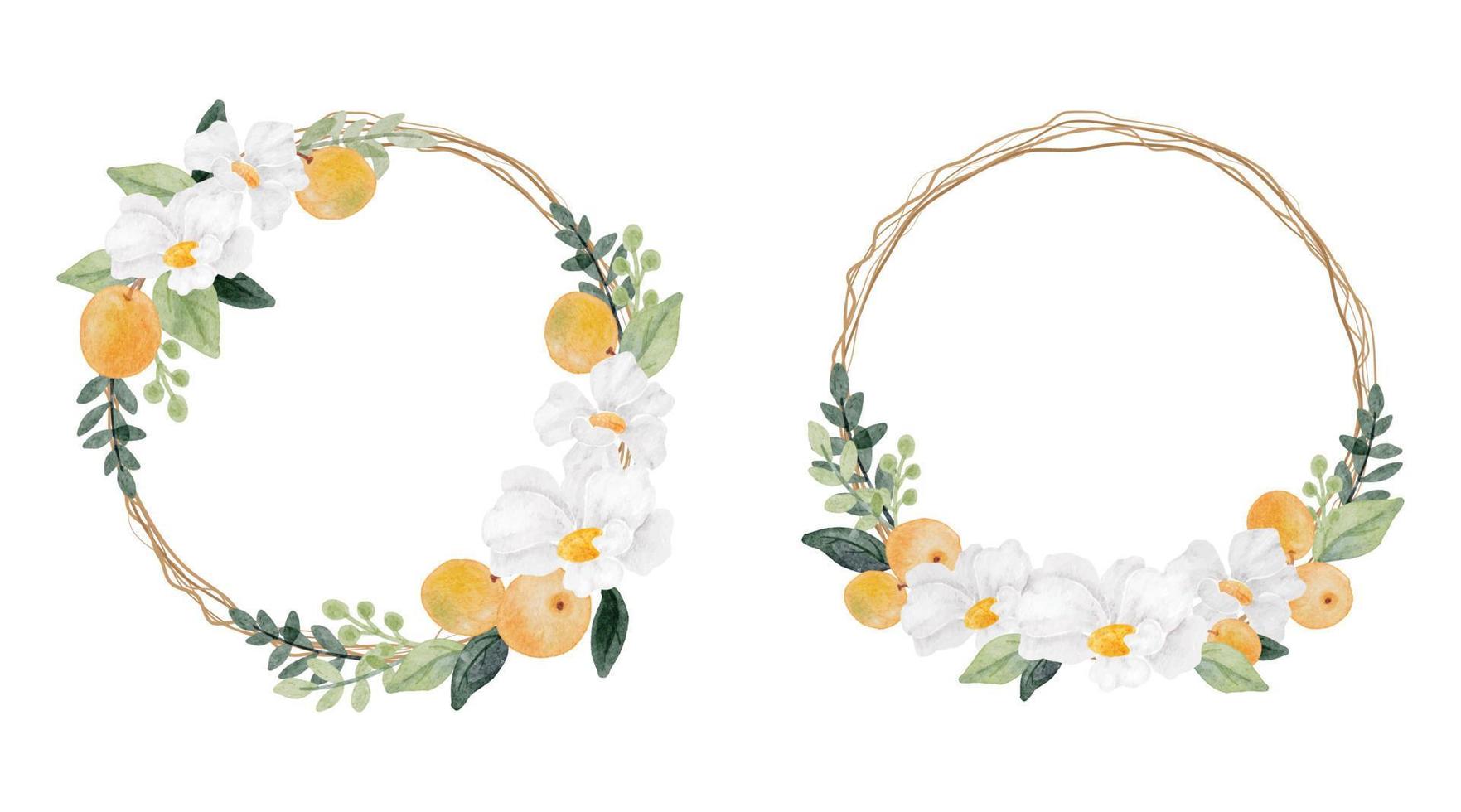 watercolor white flower and orange fruit wreath frame collection isolated on white background digital painting vector