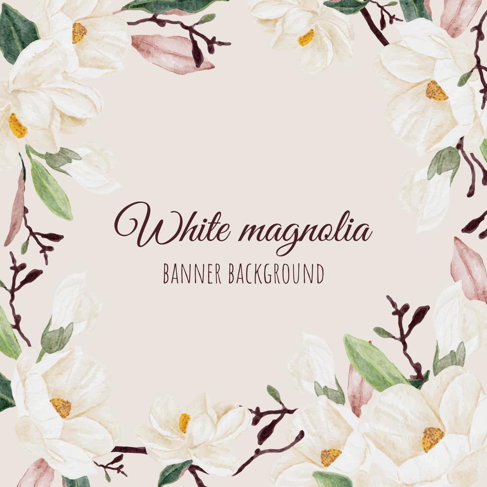 watercolor white magnolia flower branch bouquet square banner background vector