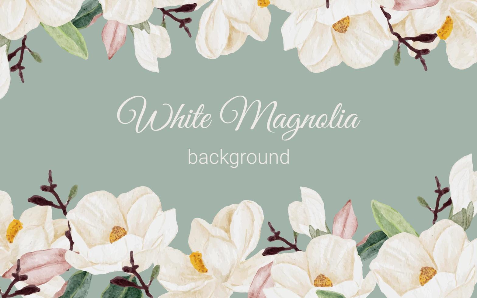 watercolor white magnolia flower branch bouquet background vector