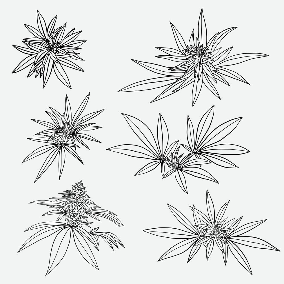 simplicity cannabis leaf freehand drawing flat design. vector