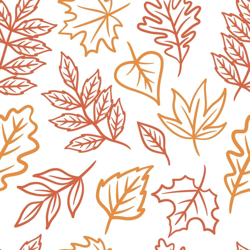 hand drawn autumn leaves seamless pattern vector