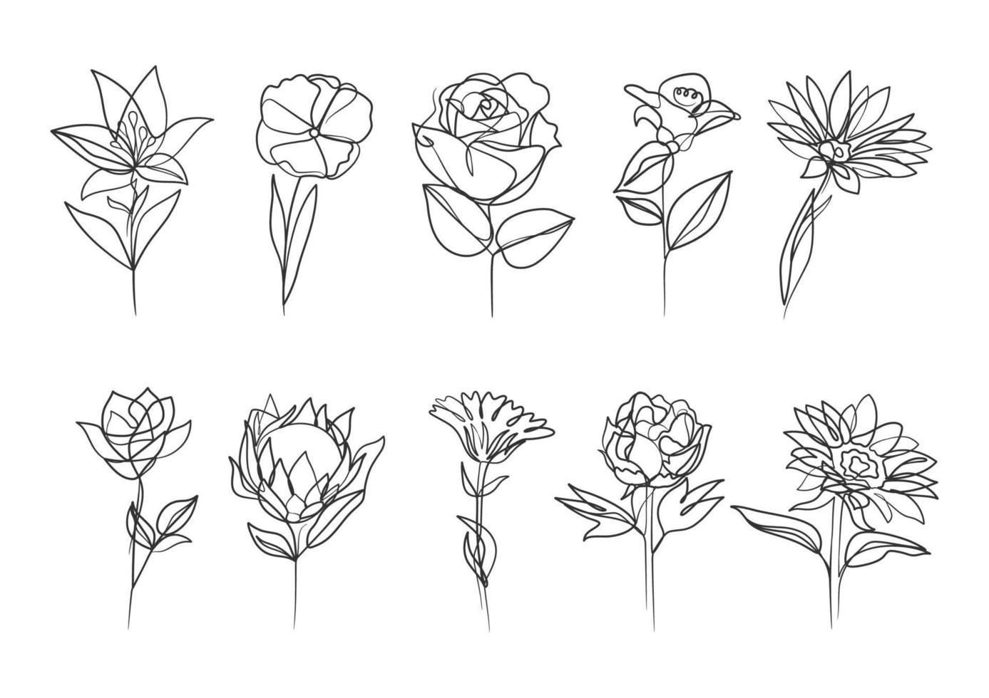 Abstract flower in continuous line art drawing style vector