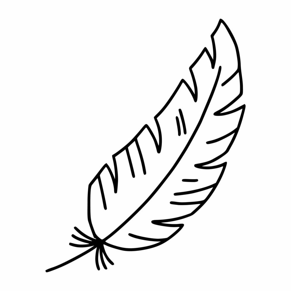 A bird feather. Vector illustration of doodles. The outline icon. A calligraphic symbol.