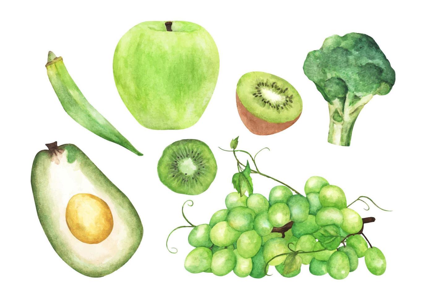 Green vegetables and fruit set. Watercolor illustration. vector