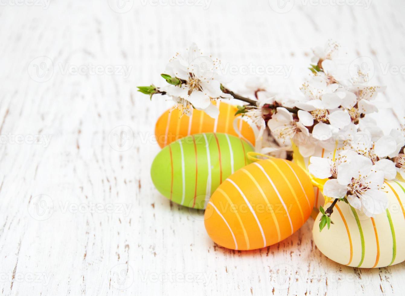 Easter eggs and cherries blossom photo