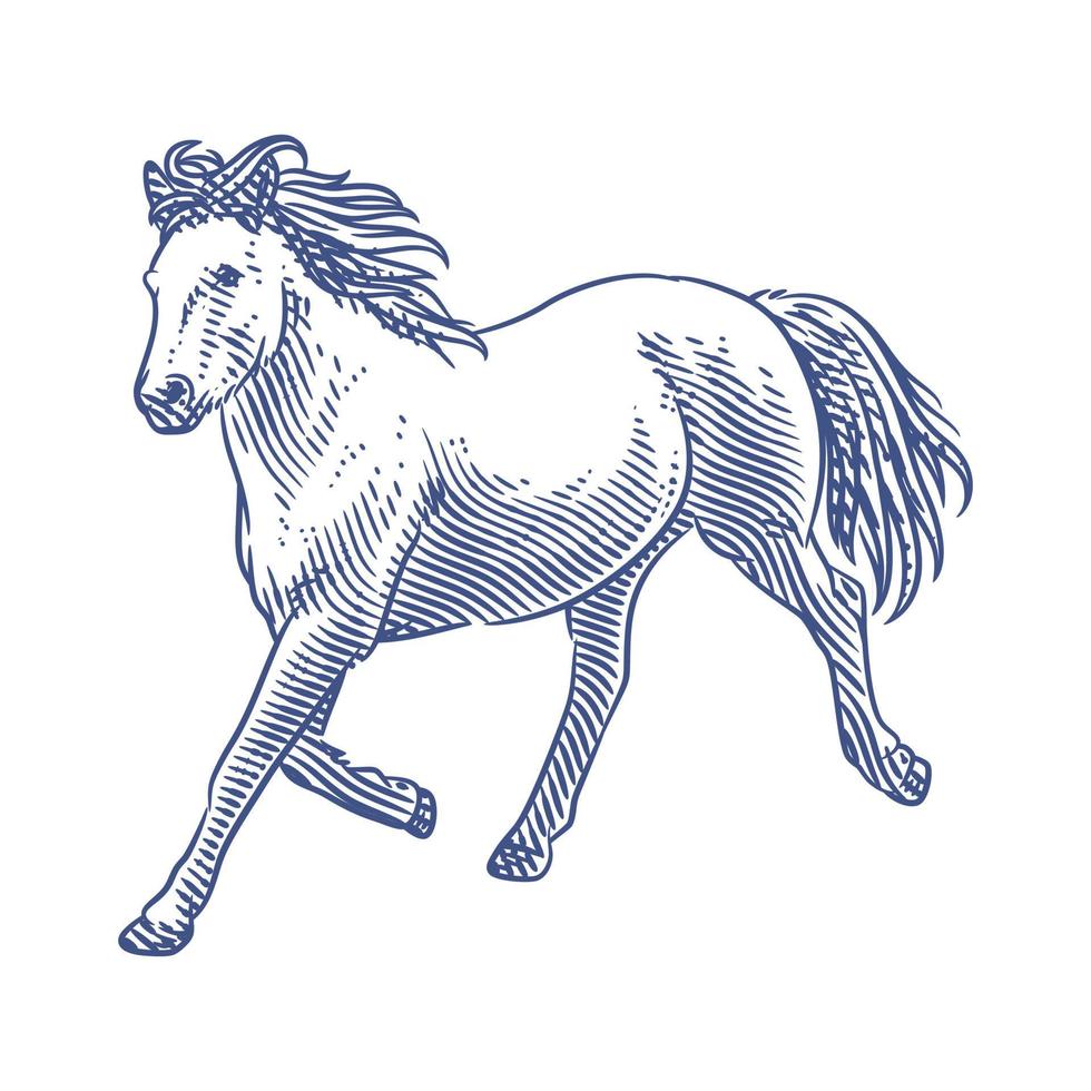 ilustración de vector de arte de línea de caballo