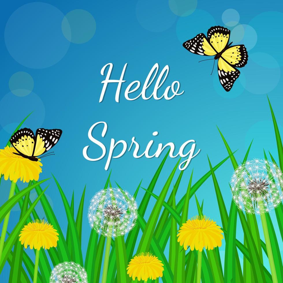 Hello spring background with dandelions, grass and butterflies vector