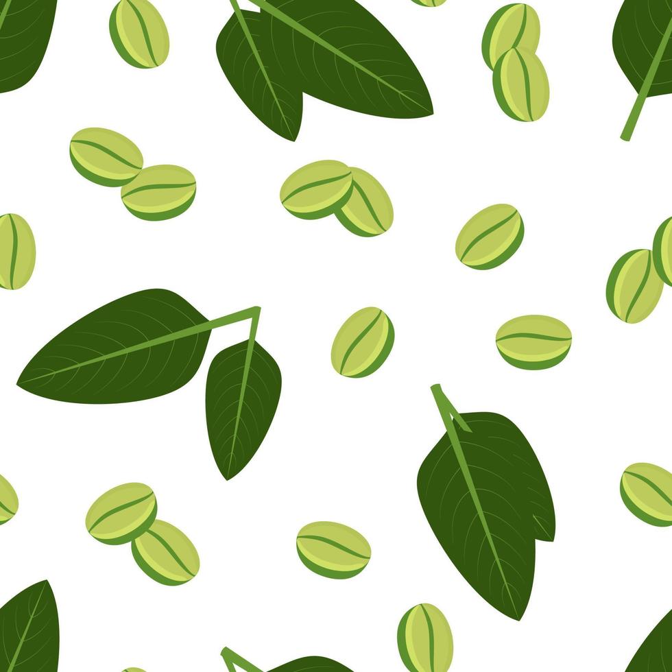 Green Coffee Beans Vector Art, Icons, and Graphics for Free Download