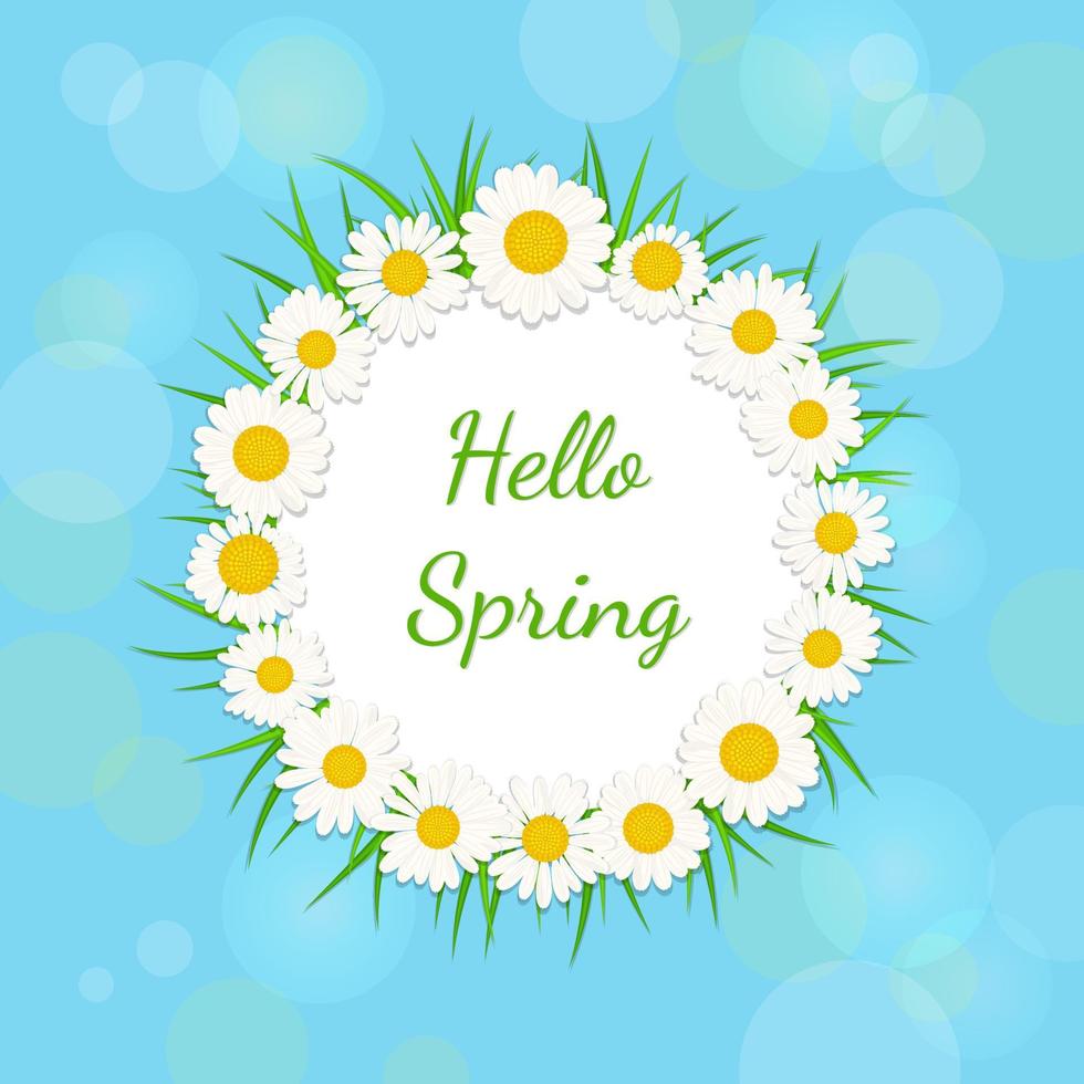 Hello spring background with frame of daisies and grass vector