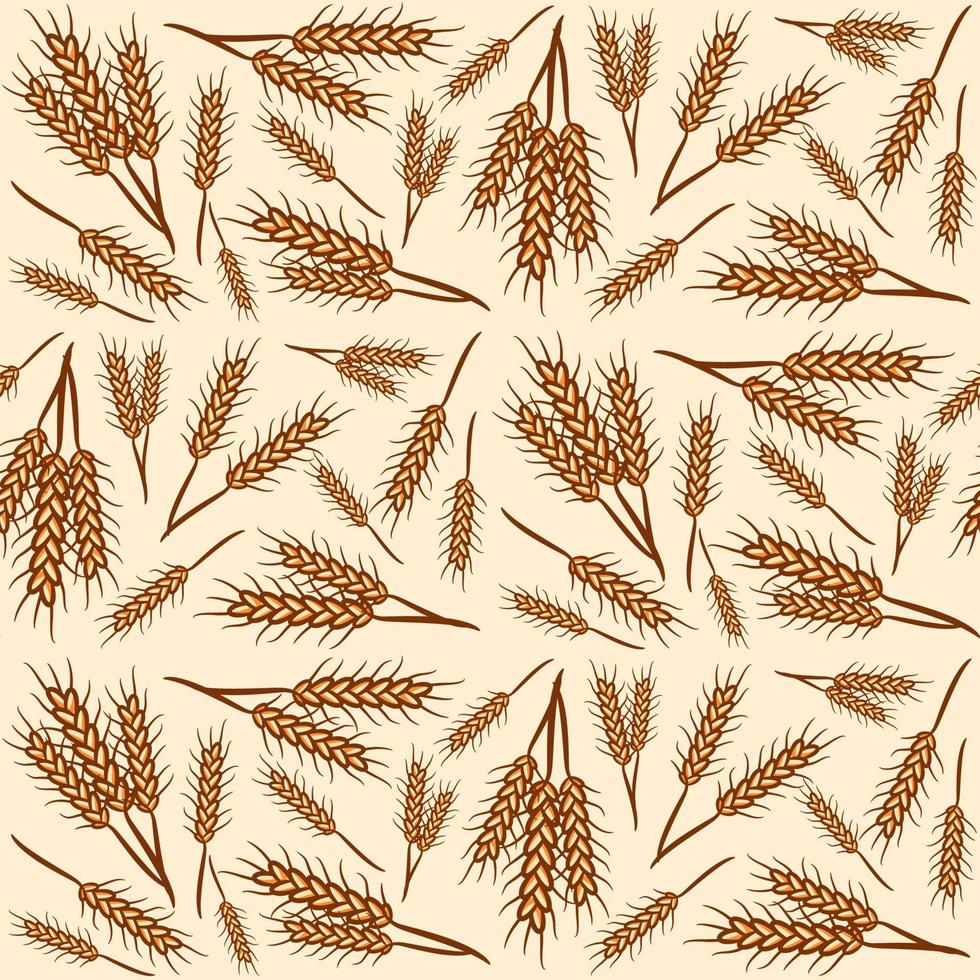 Wheat seamless pattern background hand drawn vector