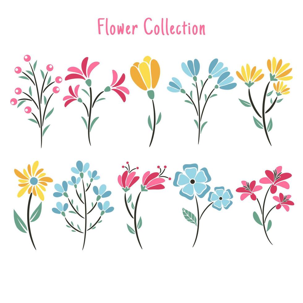 Set Of Floral Elements Flower and Leaves vector