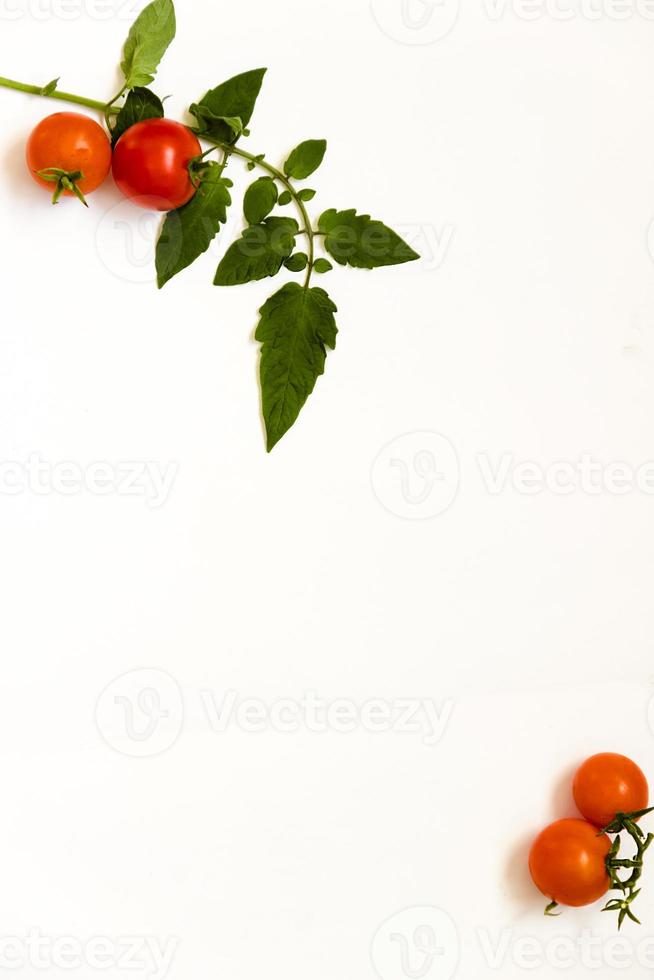 Tomates cherry frescos maduros en aislado sobre fondo blanco. foto