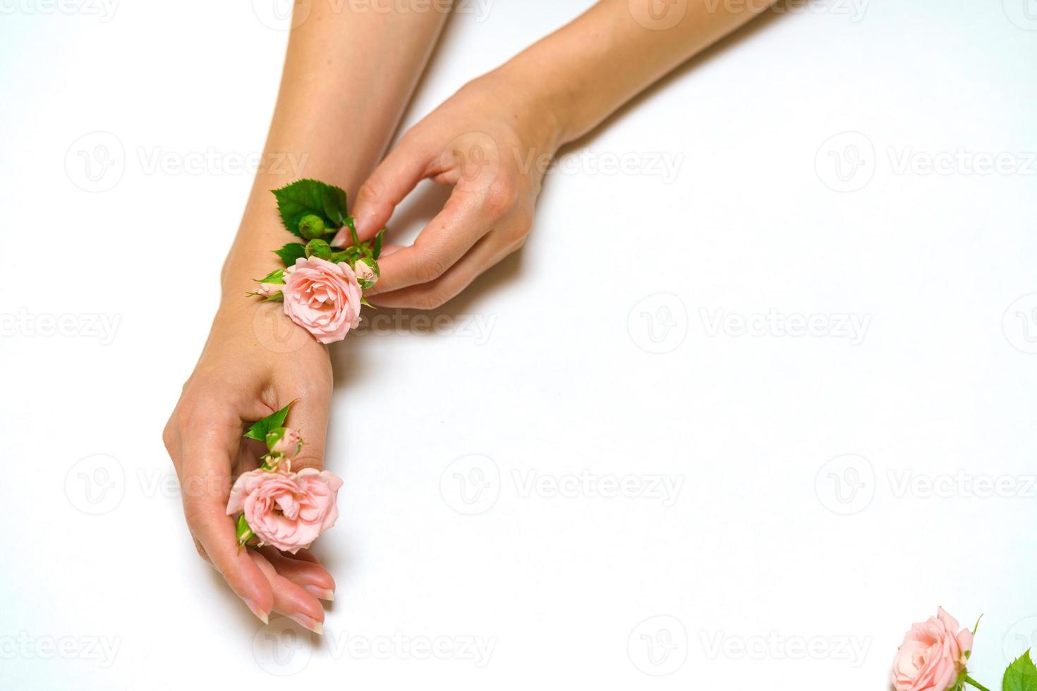 día de la Madre. las manos femeninas sostienen una flor de rosa. concepto de amor y romance. belleza foto