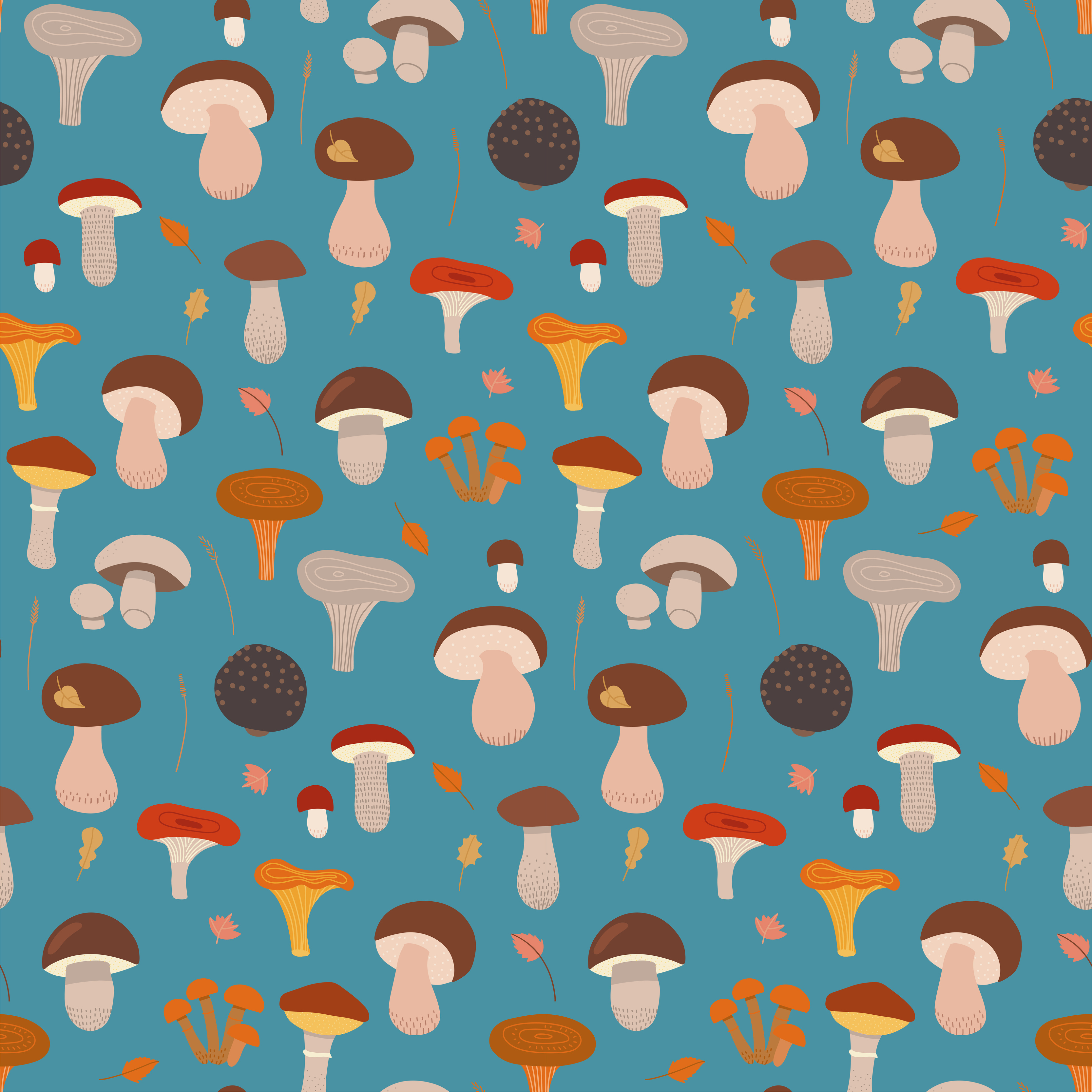 Morel Mushroom Vector Art, Icons, and Graphics for Free Download