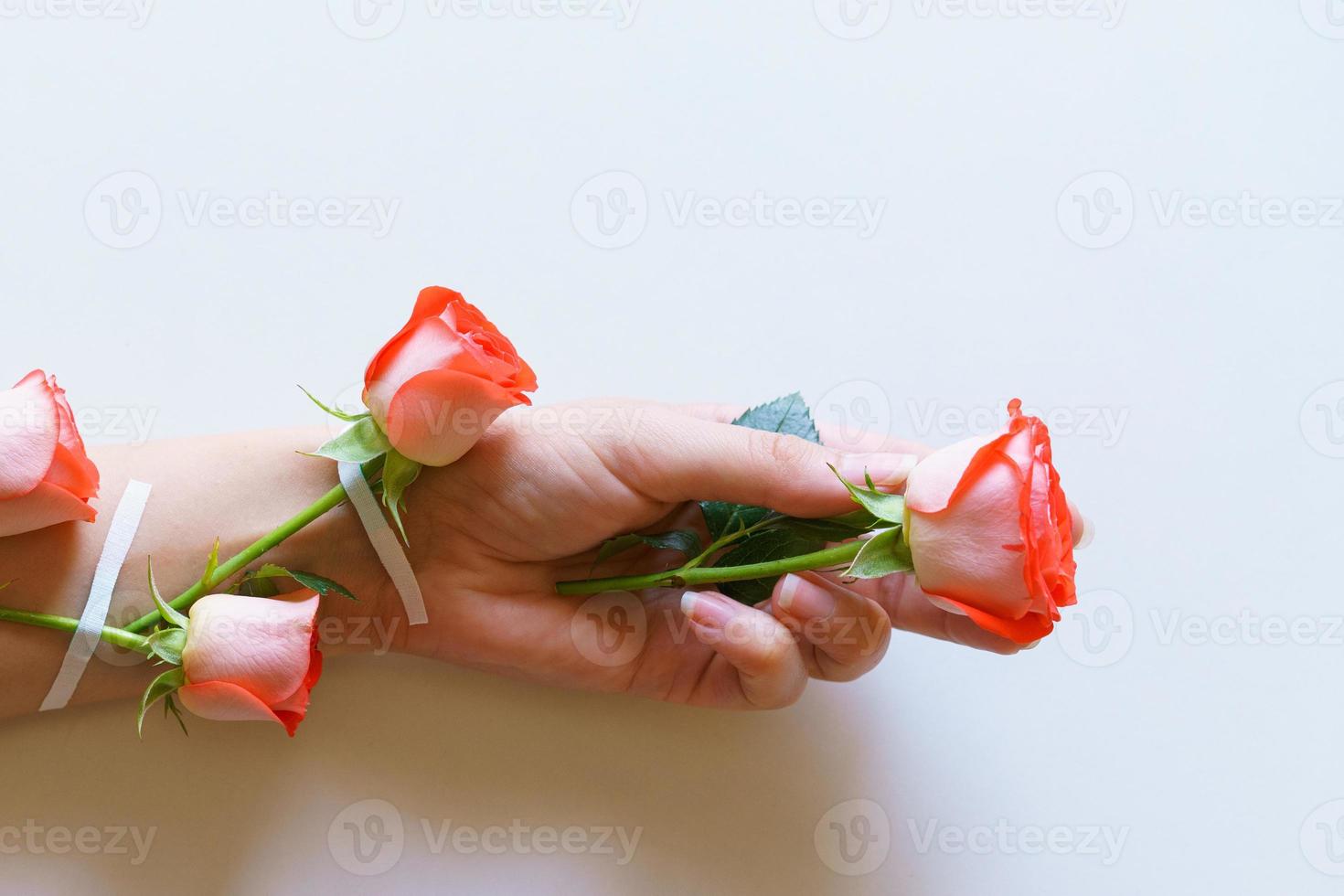 las mujeres forman manos de cosmética natural, rosas rojas, hermosas flores foto