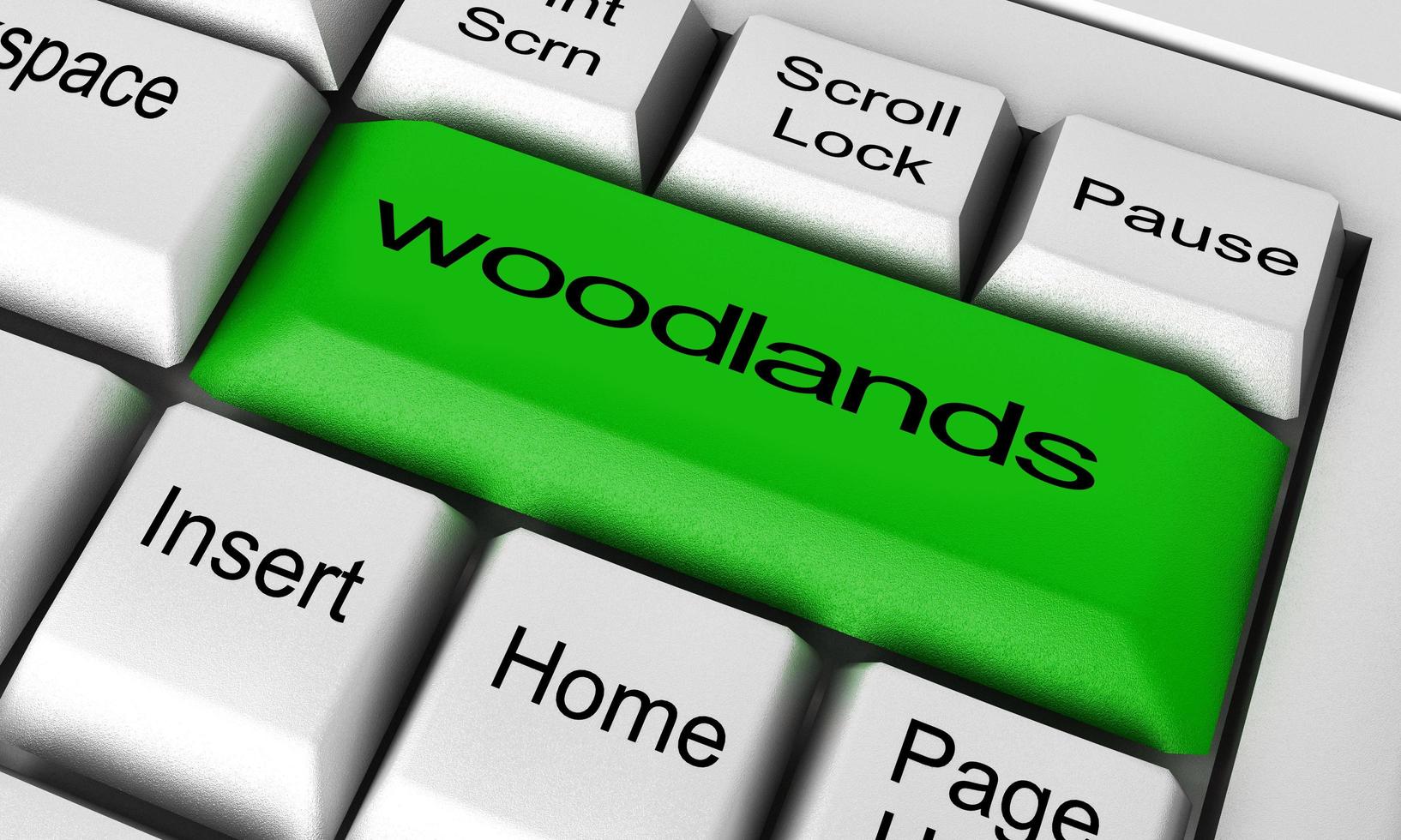 woodlands word on keyboard button photo