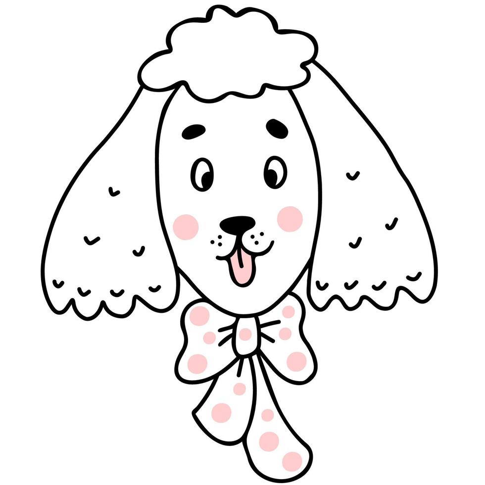 cute poodle. Vector illustration in linear hand drawn doodle style